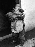 Arthur Rothstein - Boy with Chicken, Hungjao, China