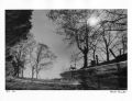 Harold Feinstein - Landscape Reflected on Water