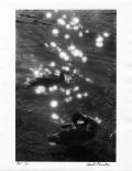 Harold Feinstein - Ducks in Shining Water