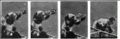 Frank Hurley - Yogi Berra Drops the Ball, One Day Before His 148 Errorless Record