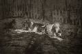 L�on Cr�miere - Pair of Hunting Dogs