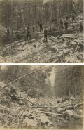 Seneca Ray Stoddard - Adirondack Logging Scenes