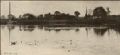 Peter Henry Emerson - The Fringe of the Mere, Plate X from Pictures of East Anglian Life