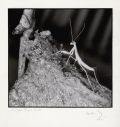 Margaret Bourke-White - Newly Born Preying Mantis (Preying Mantis series #2)