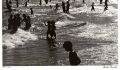 Harold Feinstein - Coney Island Beach Scene.