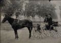 American Photograph Company - William and Henri Titus in Prospect Park  Brooklyn NY.