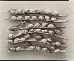 Galvanization