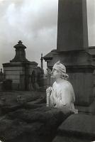 Calvary Cemetary, Queens, New York