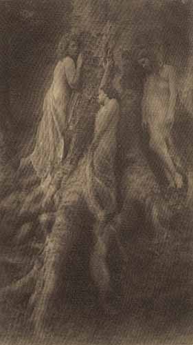 Nancy Ford Cones - Dryads - Three Nancy Ford Cones - Dryads - Three