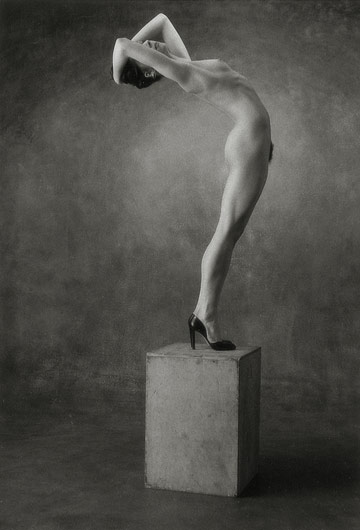 12 Nudes (Portfolio)