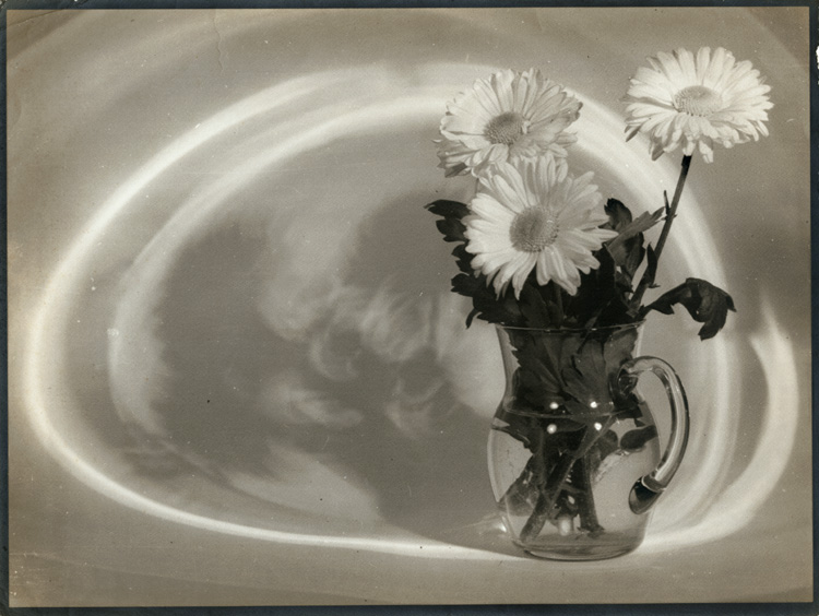 Raoul Bariaux - Still Life with Pitcher and Daisies