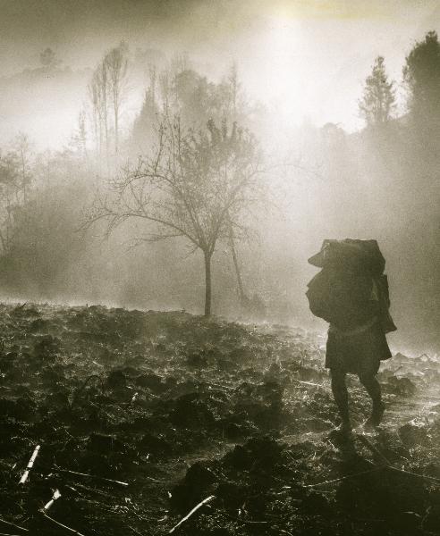 Arthur Tress - Spring Rain Ceremony:1965, Tenejapa, Mexico Arthur Tress - Spring Rain Ceremony:1965, Tenejapa, Mexico