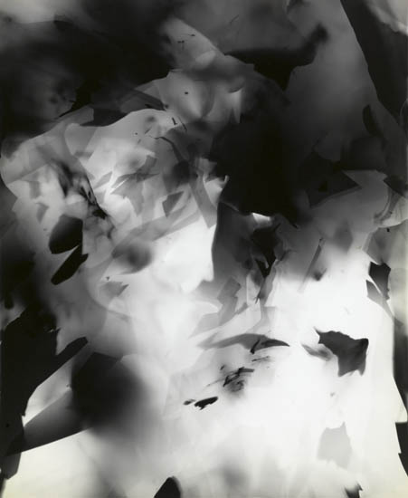 Arthur Siegel - Photogram Arthur Siegel - Photogram