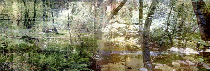 Lisa Holden - Glade (from Series 