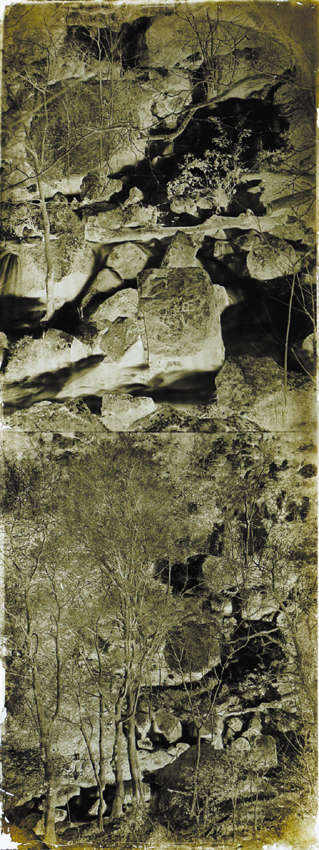 Charles Negre - Ruisseau en Forêt (Stream in Forest): Two Images on One Plate