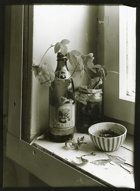 Petr Helbich - Window Sill Still Life