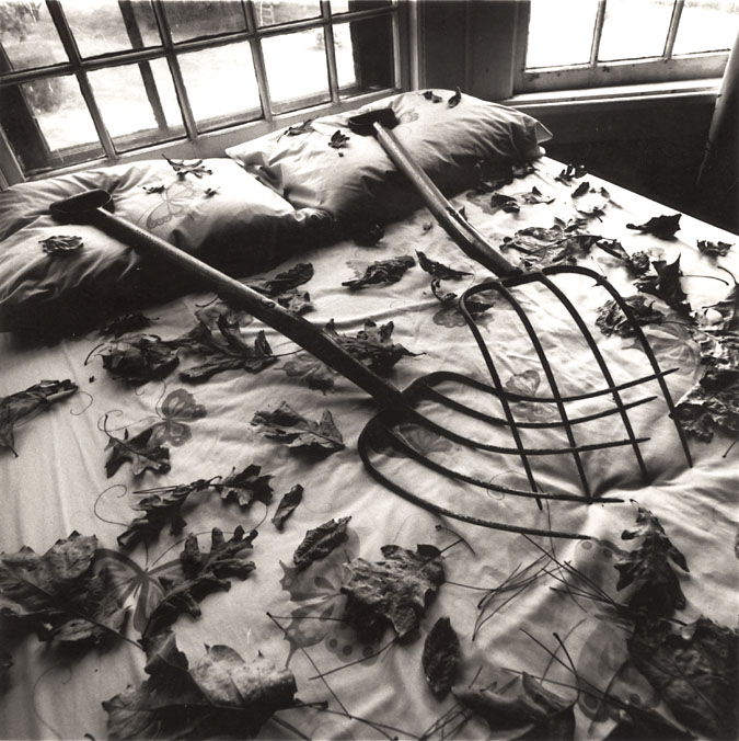 Arthur Tress - Making Leaves, Cold Spring, NY