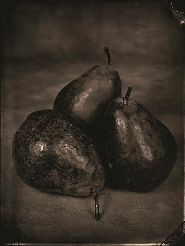 Tom Baril - Three Pears Tom Baril - Three Pears