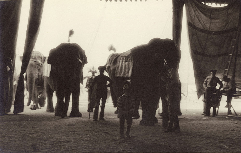 Kenneth Heilbron - Elephants, Ringling Bros. and Barnum & Bailey Circus Kenneth Heilbron - Elephants, Ringling Bros. and Barnum & Bailey Circus