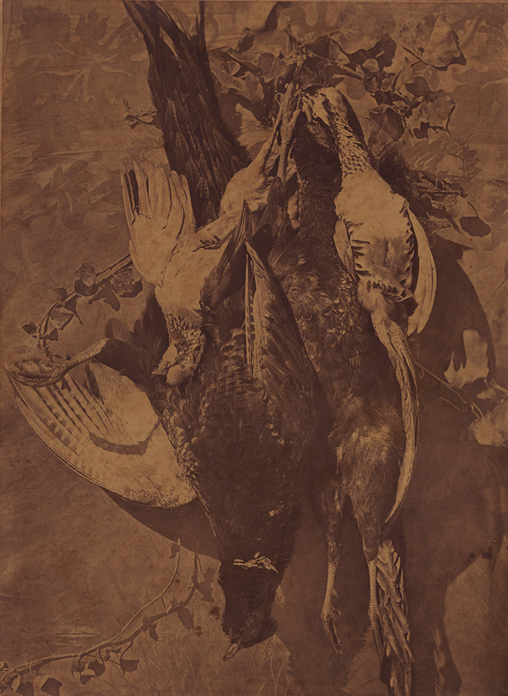 Charles Negre - Still Life of Game Birds