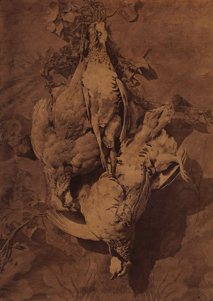 Charles Negre - Still Life of Game Birds Charles Negre - Still Life of Game Birds