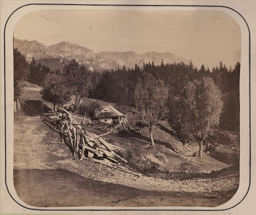 Carol Popp Szathmari - Buceciu la Sinaia (Mountains and Way Station in Romania)