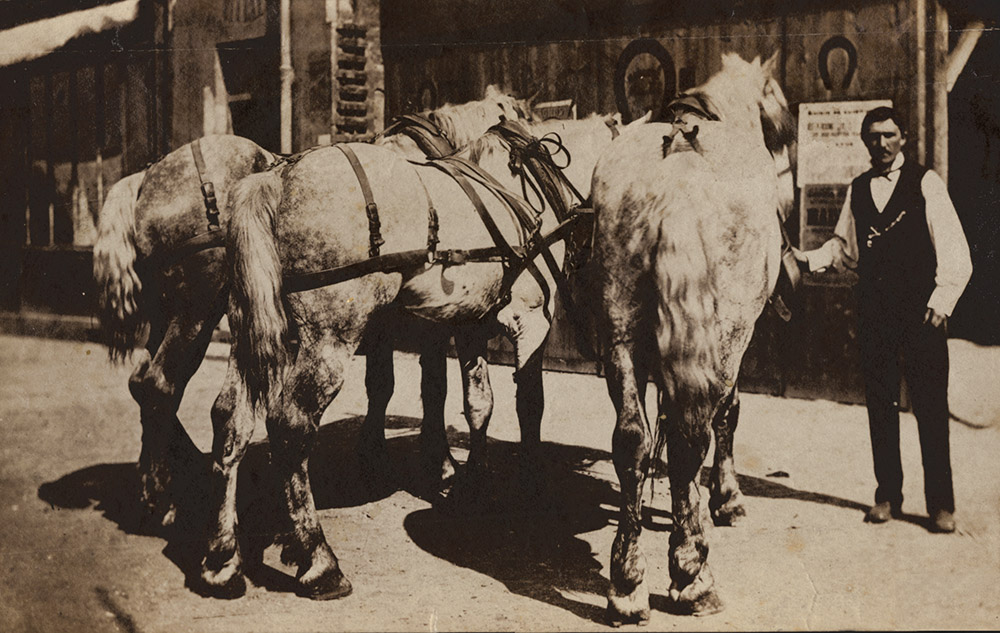 Man and Three Horses