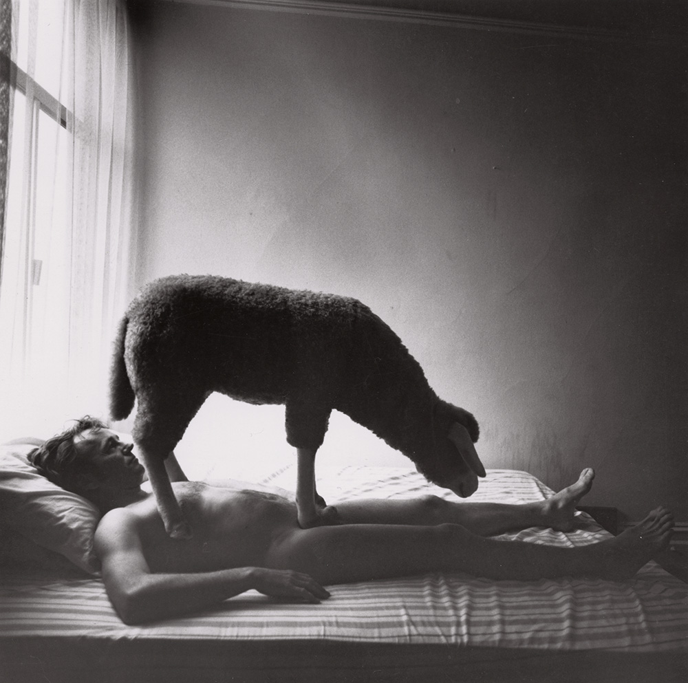 Arthur Tress - Bob Leet with Sheep, San Francisco Arthur Tress - Bob Leet with Sheep, San Francisco