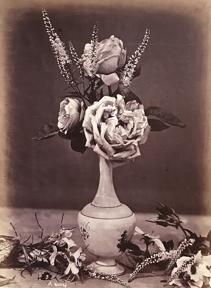 Charles Hippolyte Aubry - Still Life of Rose and Other Flowers in a Narrow Neck Vase