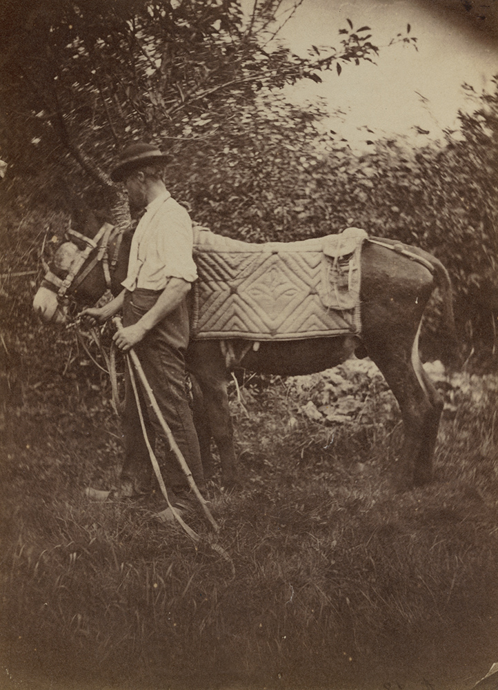 Auguste Giraudon's Artist - Man with a Donkey Auguste Giraudon's Artist - Man with a Donkey