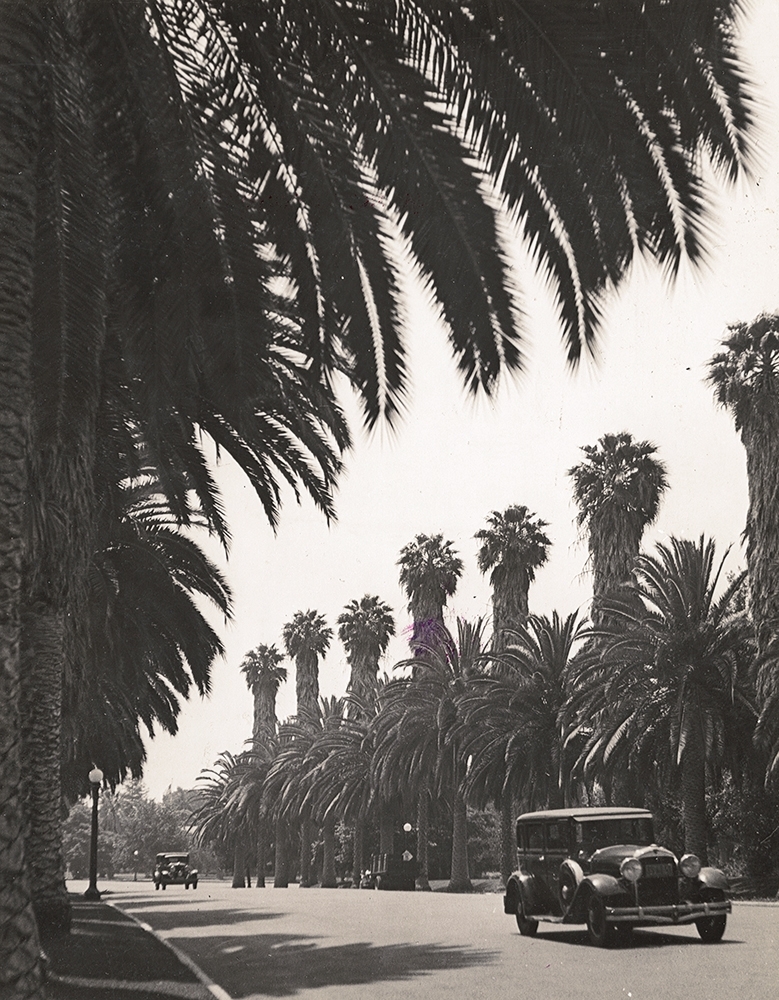 Alfred Eisenstaedt - Beverly Hills, California