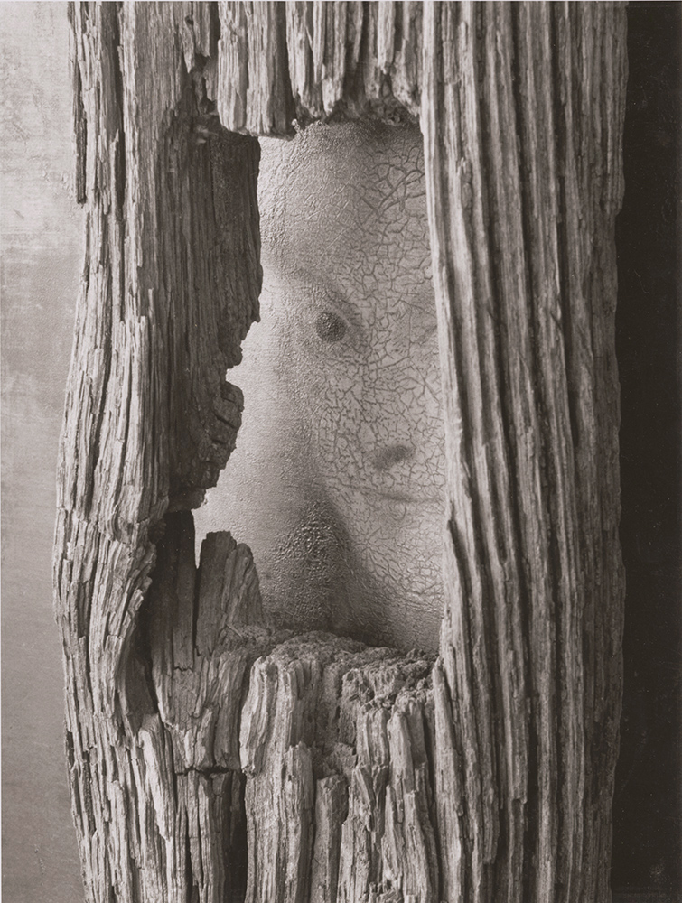 André Kertész - New York, October 22 André Kertész - New York, October 22