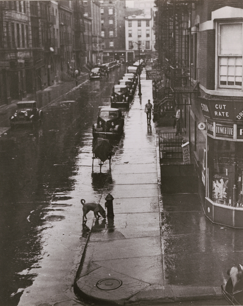 André Kertész - Untitled (East 27th Street, NYC) André Kertész - Untitled (East 27th Street, NYC)