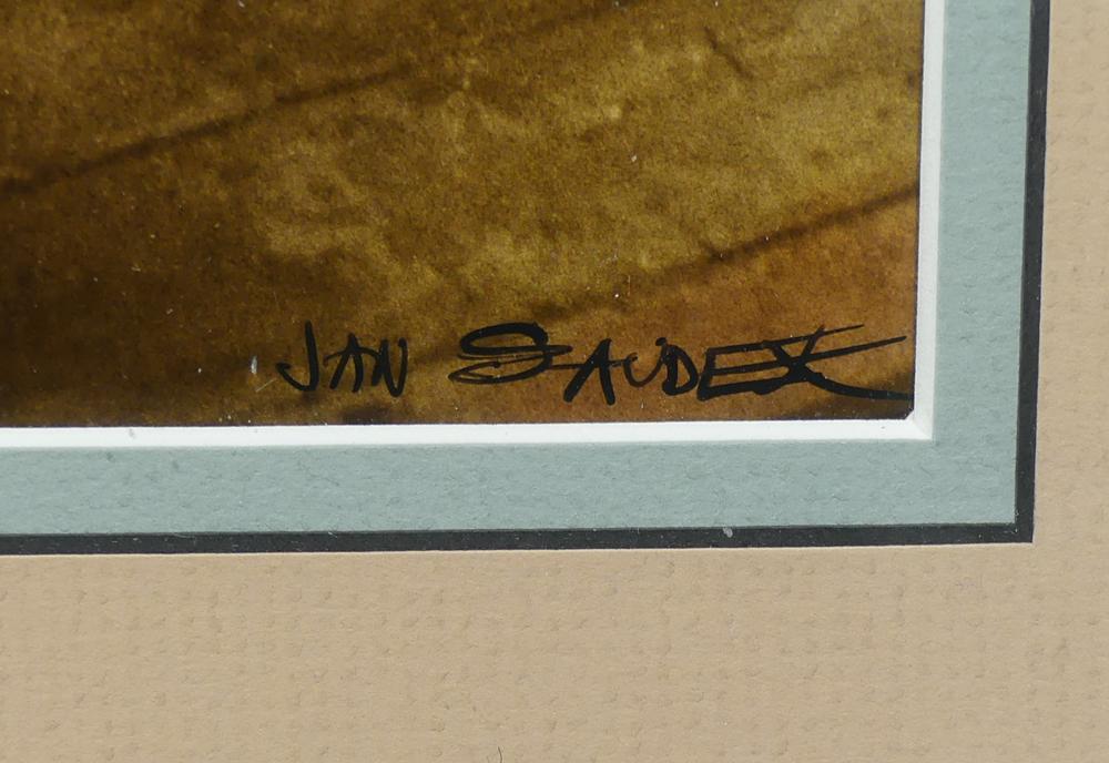 Karolina (also, Z. Ravorina In Victorian Style)