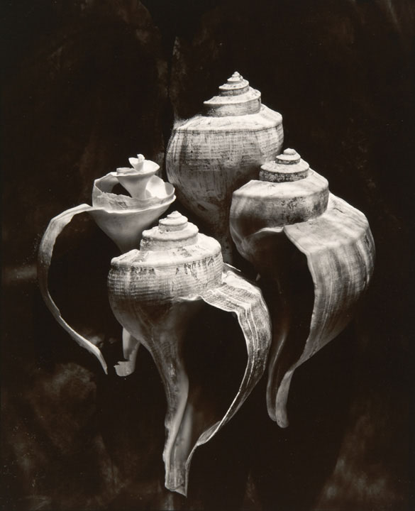 "Lost Objects" portfolio