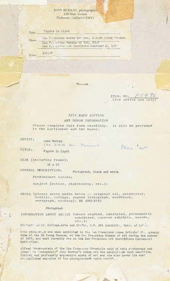 Female Nude Figure in Light