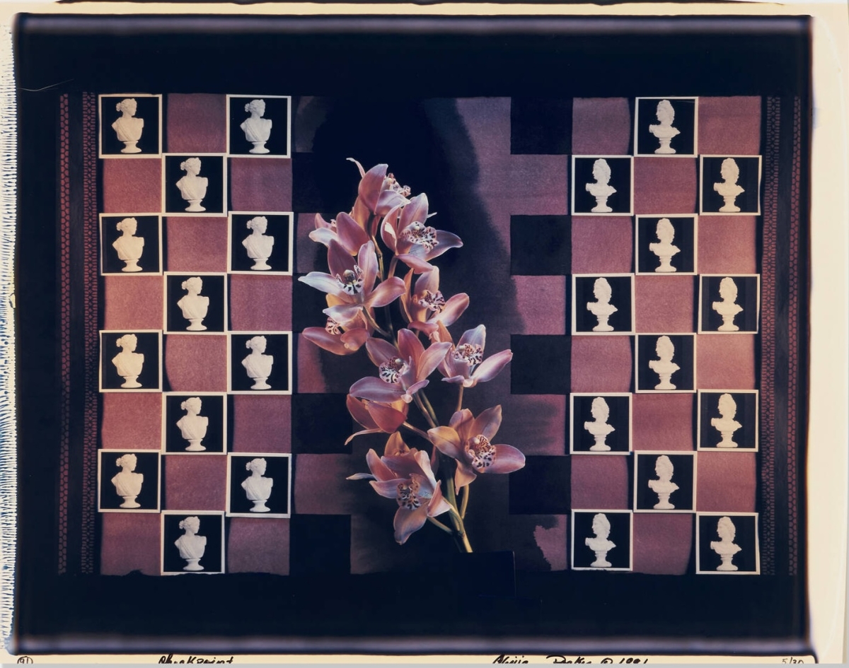 Olivia Parker - Checkpoint