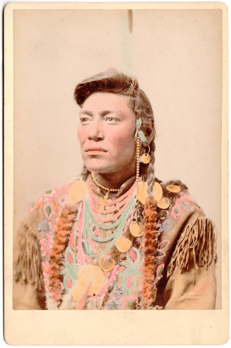 Frank Jay Haynes & Brothers - Chief Little Head (Apsáalooke/Crow)