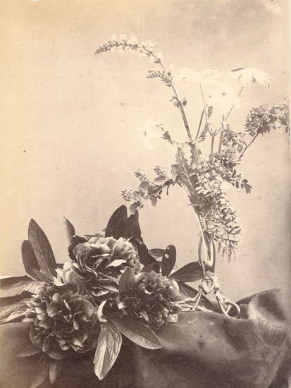 Anonymous (French) - Still Life of Flowers Anonymous (French) - Still Life of Flowers