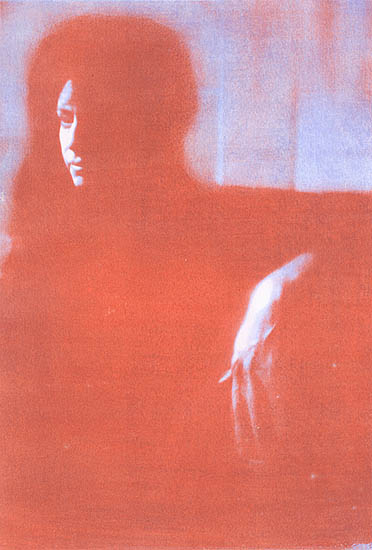 A Portrait of a Woman in Shadow