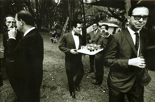 Karol Charles Kallay - Garden Party Karol Charles Kallay - Garden Party
