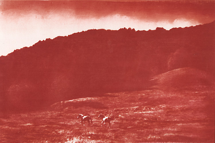 Ted Jones - Virginia Landscape (Horses)