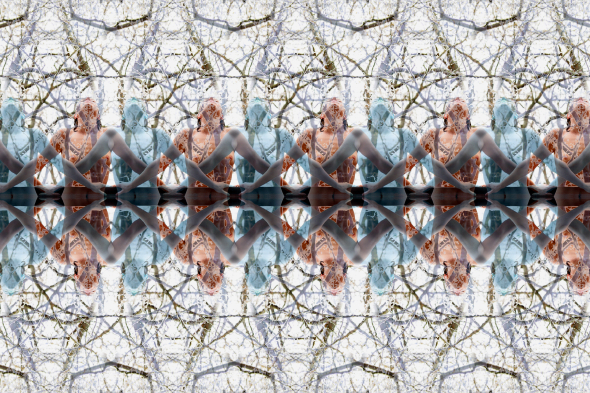 Charlie Schreiner - Mosaic #250 Charlie Schreiner - Mosaic #250