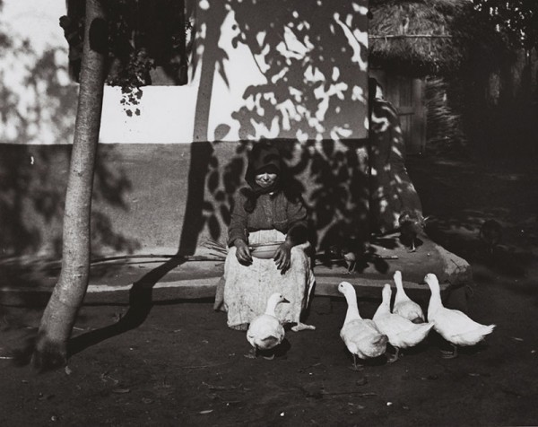 André Kertész, Tisza-Szalka, Feeding the Ducks, Hungary