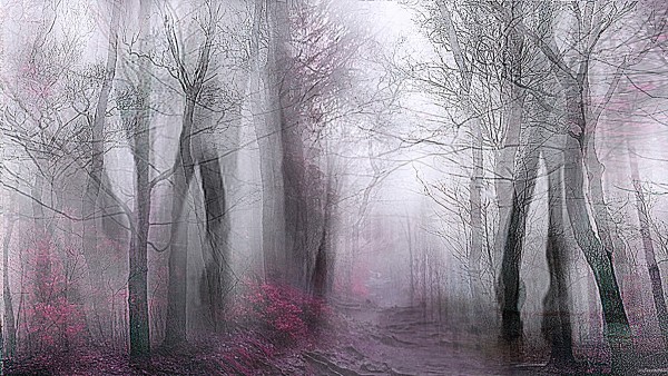 Pale Forest (from Series "Constructed Landscapes"): "When I revisited where I grew up in the UK, I thought, 'Why not try to create my own landscape.' So that's what I did, stitching together disparate images taken over the years, constructing a topography that condenses time and place."