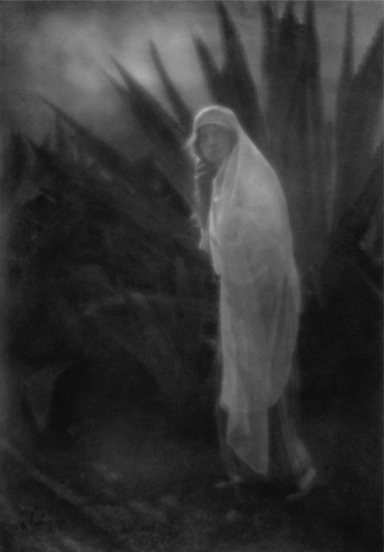 Edward Weston: Maud Adams with Century Plant. Platinum or related metal print, possibly with pigment, 1915 Edward Weston: Maud Adams with Century Plant. Platinum or related metal print, possibly with pigment, 1915