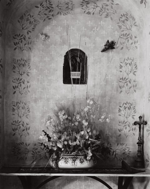 Paula Chamlee: La Chiara di Prumiano, Tuscany, 2000. Silver chloride contact print, 8 x 10 in. (203 x 254 mm), 2000/2000, on original mount. 16748.