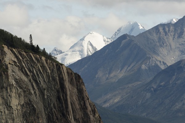 Renate Aller: Pl.44, Alaska, Matanuska Range, August 2017 Renate Aller: Pl.44, Alaska, Matanuska Range, August 2017