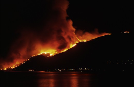 © Getty Images, Inc. All rights reserved.