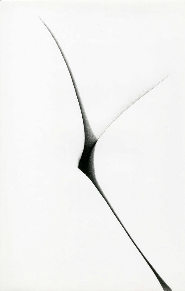 Frédéric Barzilay, Nude